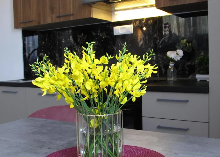 Appartamento Sea Bonbon